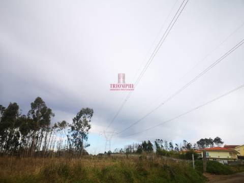 Terreno para Construção 2.975m2, Oliveira de Azeméis  