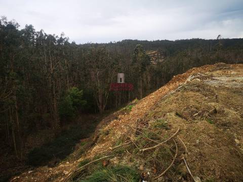 Terreno para Construção 5.950m2, Oliveira de Azeméis  