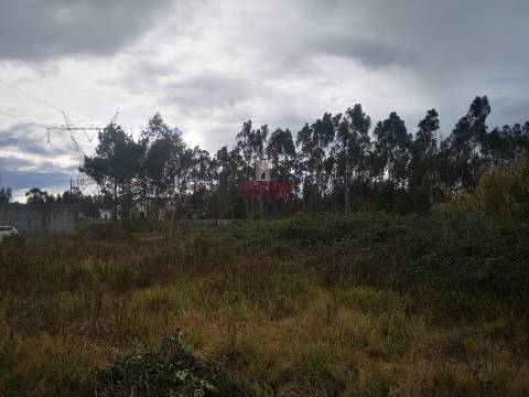 Terreno para Construção 5.950m2, Oliveira de Azeméis  
