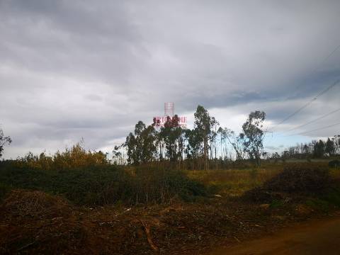 Terreno para Construção 5.950m2, Oliveira de Azeméis  