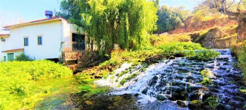 Quinta de Eventos/Restaurante, Redinha, Pombal