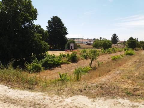 Quinta com Vinha, Valverde, Coruche