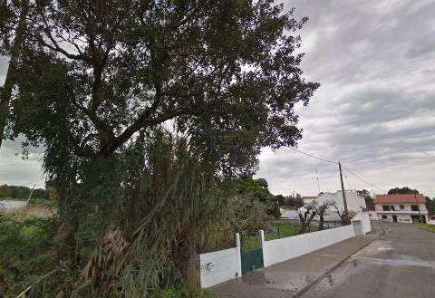 Quinta com 9788m2 de Terreno em Coruche