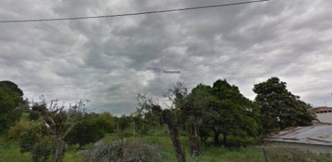Quinta com 9788m2 de Terreno em Coruche