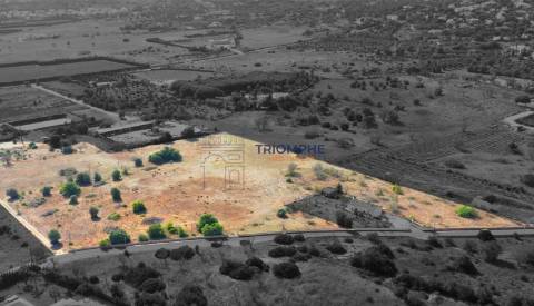 Terreno de 35 000 m² no Carvoeiro