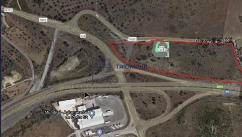 Terreno Zibreira 37.000m2,Torres Novas