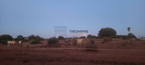 Terreno 81600 m2 - Lagos
