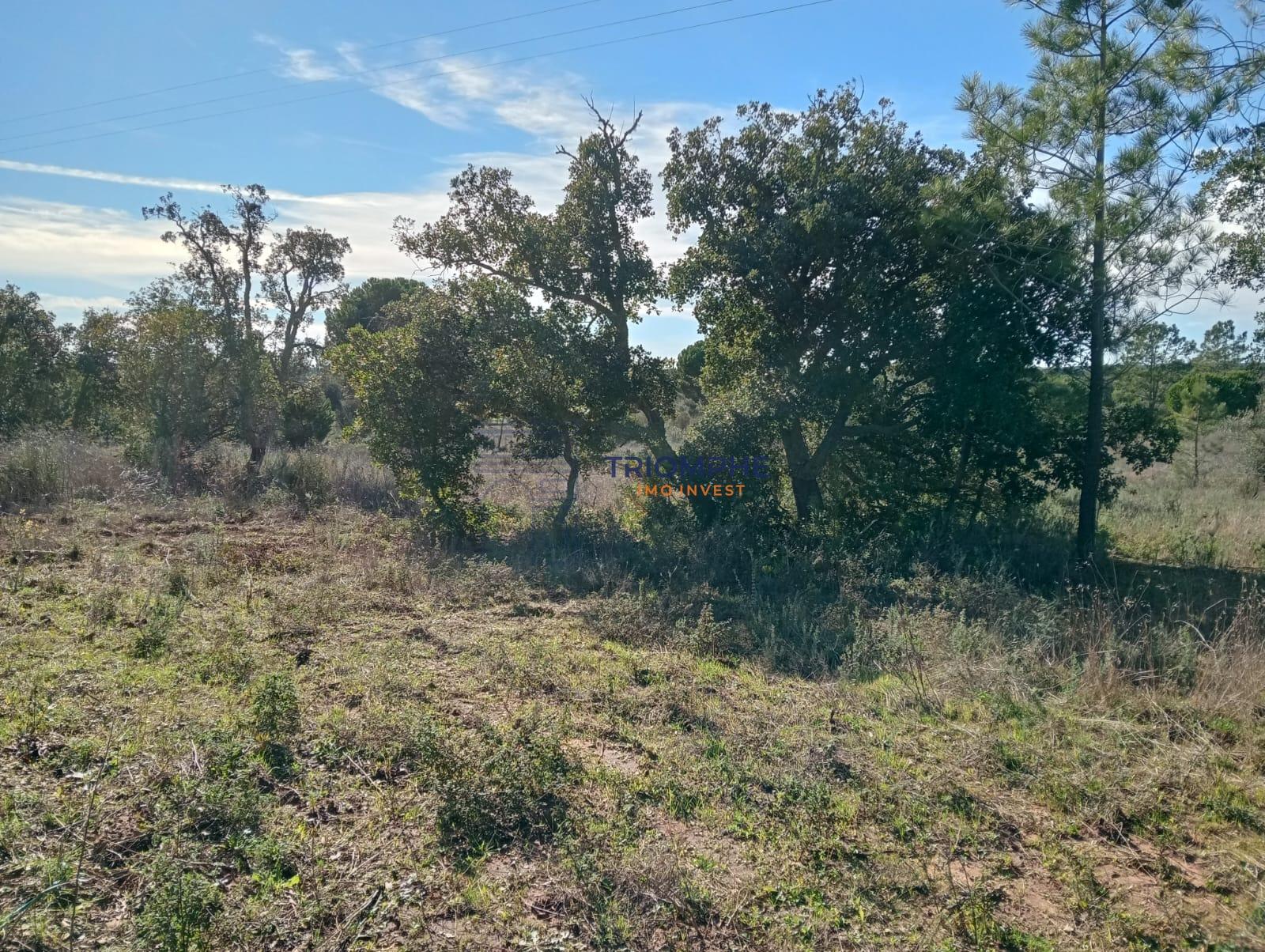 Terreno Rústico de 25.000 m² - Lagos