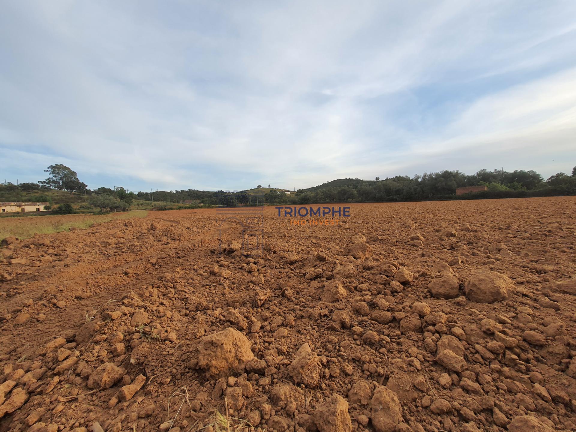 Terreno com Ruína - Silves - Projeto de Empreendimento Rural