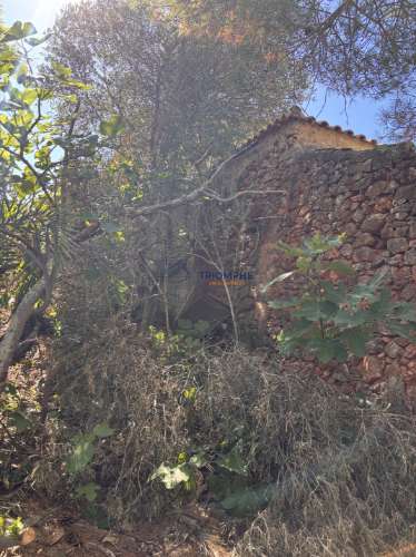 Terreno misto com ruina e armazens em Silves