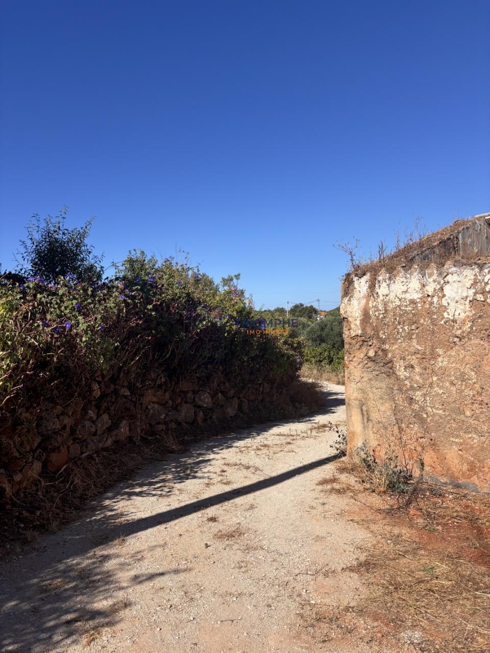 Terreno misto com ruina e armazens em Silves