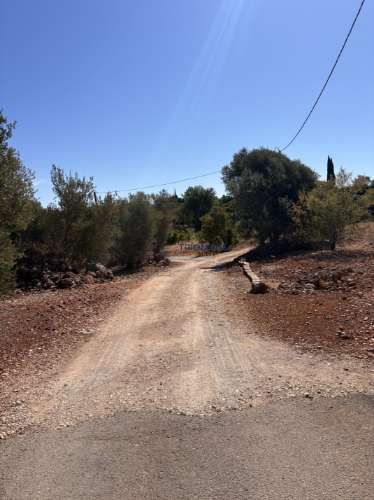 Terreno misto com ruina e armazens em Silves