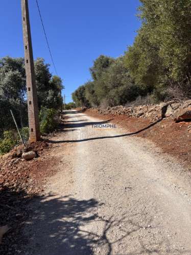 Terreno misto com ruina e armazens em Silves