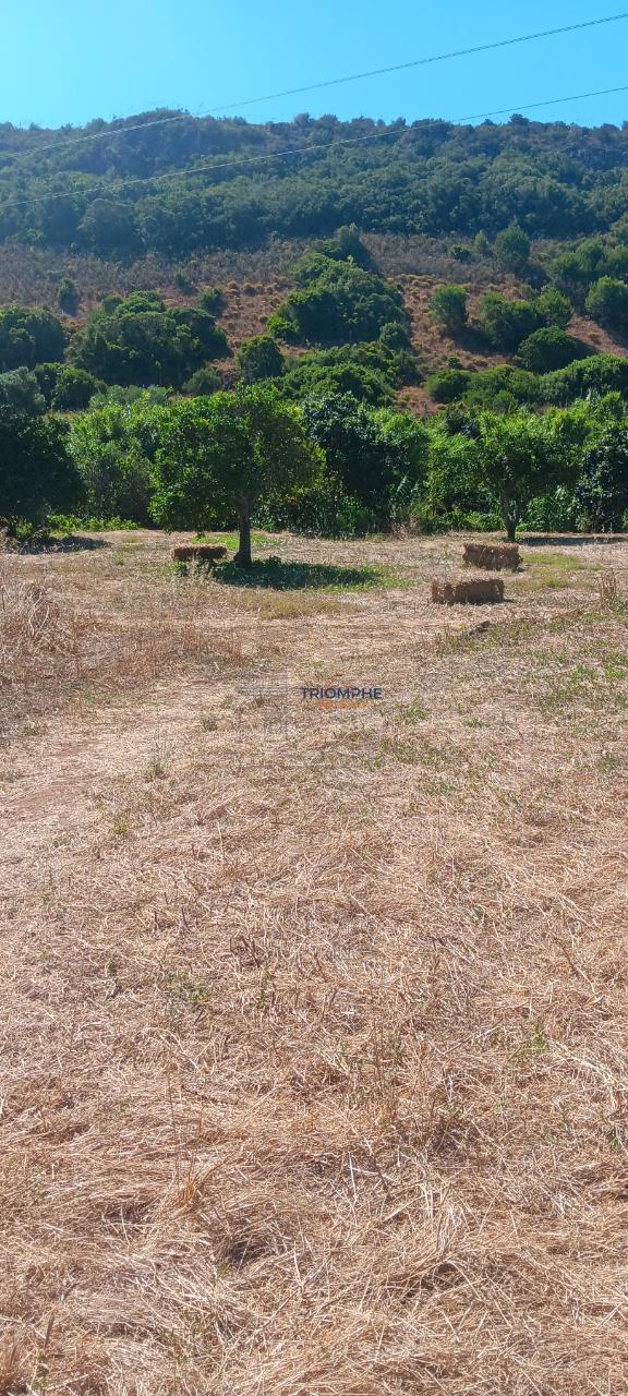 Terreno Bensafrim e Barão de São João