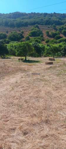 Terreno Bensafrim e Barão de São João