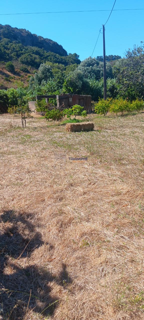 Terreno Bensafrim e Barão de São João