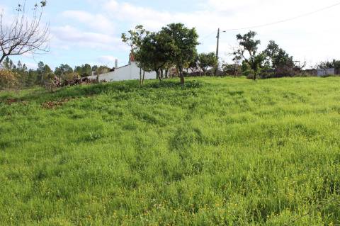 Terreno Rústico com Viabilidade de Construção para Venda em Pedra do Altar