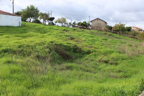 Terreno Rústico com Viabilidade de Construção para Venda em Pedra do Altar
