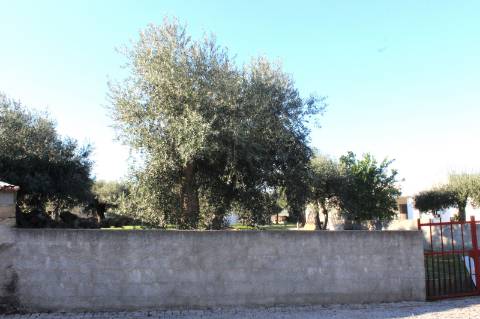 Terreno Urbano com 850m2 de área