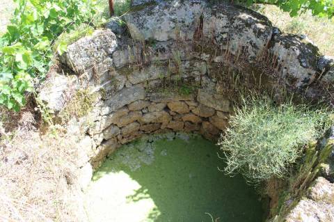 Quinta com 2,5 hectares