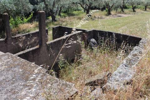 Quinta com 2,5 hectares