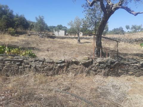 Terreno Rústico com 7500m2 de área