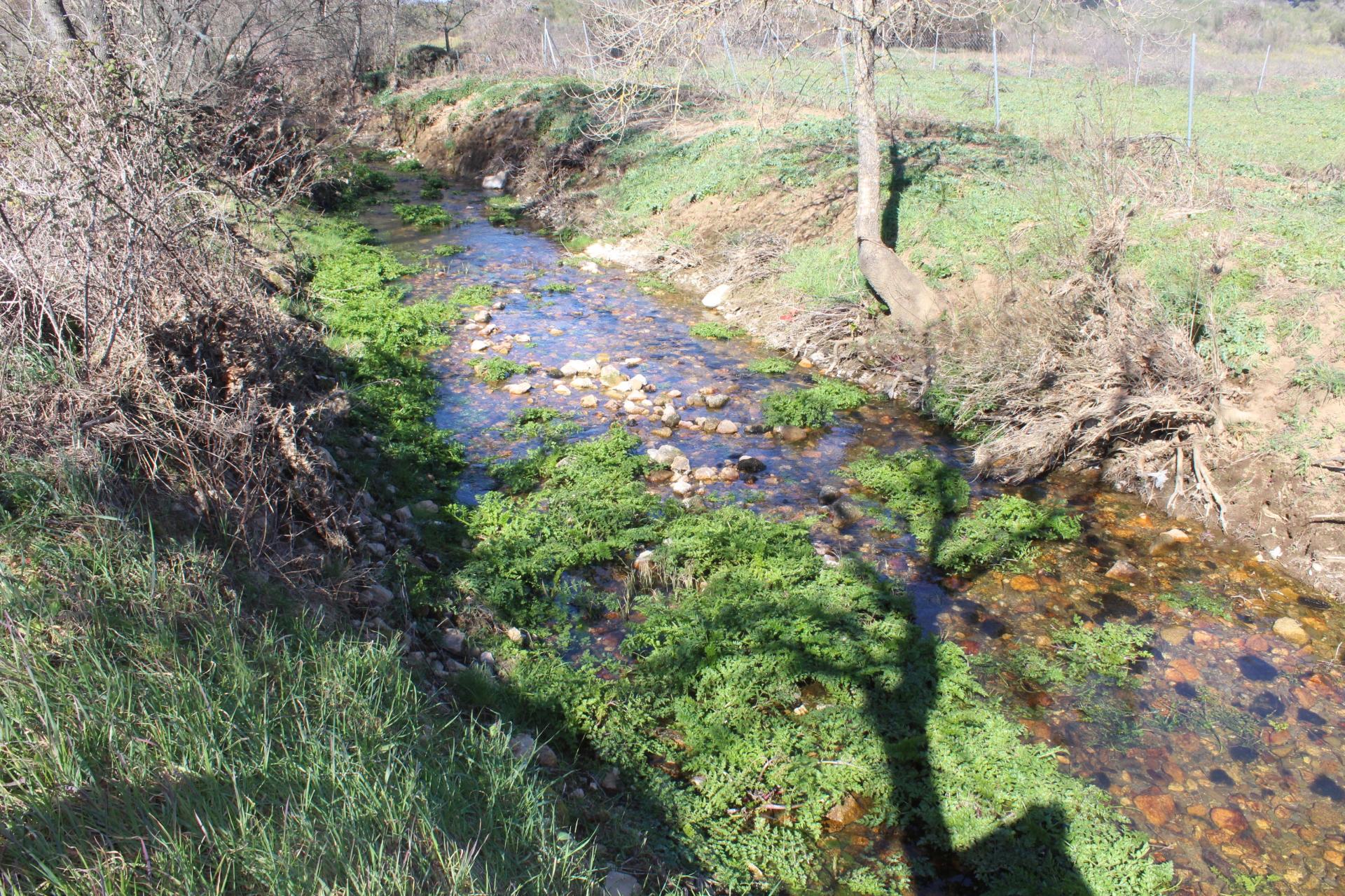 Quinta para Venda em Aldeia do Bispo, Penamacor