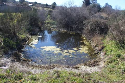 Quinta para Venda em Aldeia do Bispo, Penamacor