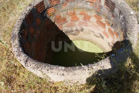 Quintinha para Venda no Ladoeiro