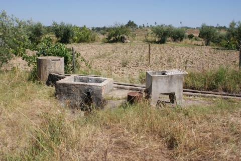 Quintinha para Venda no Ladoeiro