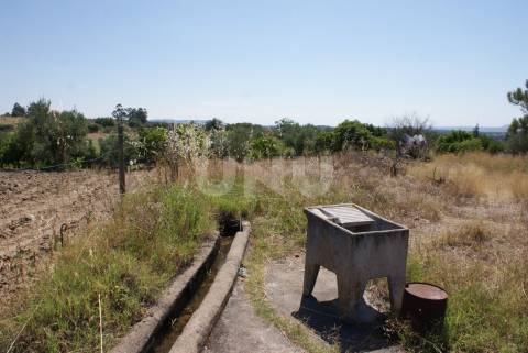 Quintinha para Venda no Ladoeiro