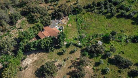Quinta T3 com 14 630m2 de área