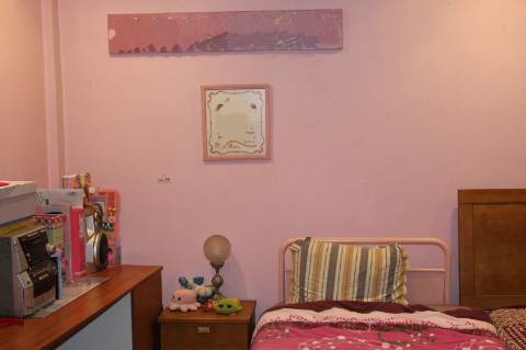 Quinta T3 com 14 630m2 de área