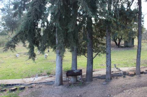 Quinta T3 com 14 630m2 de área