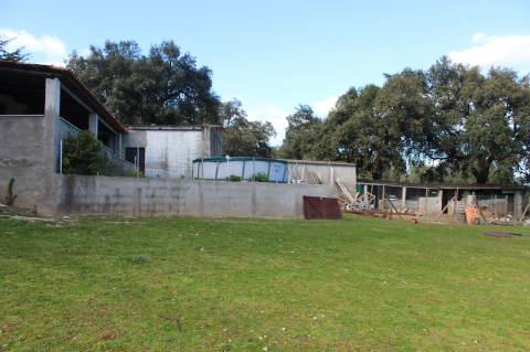 Quinta T3 com 14 630m2 de área