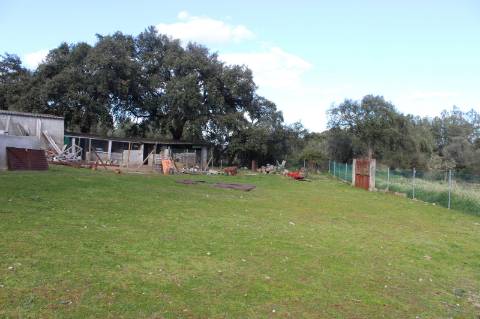 Quinta T3 com 14 630m2 de área