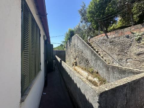 Apartamento T4 com Terraço e Logradouro - Zona Histórica