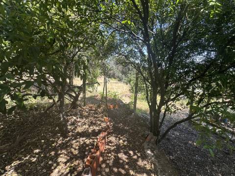 Apartamento T4 com Terraço e Logradouro - Zona Histórica