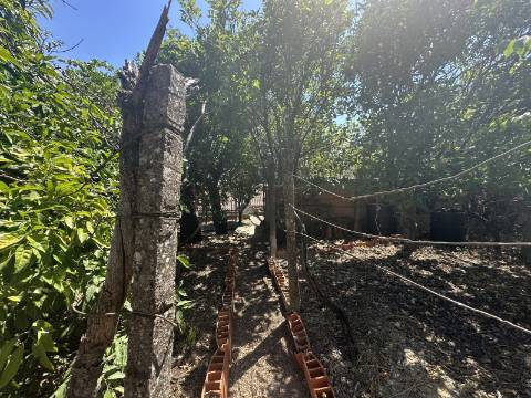 Apartamento T4 com Terraço e Logradouro - Zona Histórica