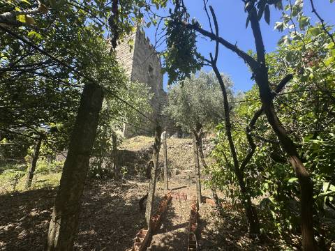 Apartamento T4 com Terraço e Logradouro - Zona Histórica