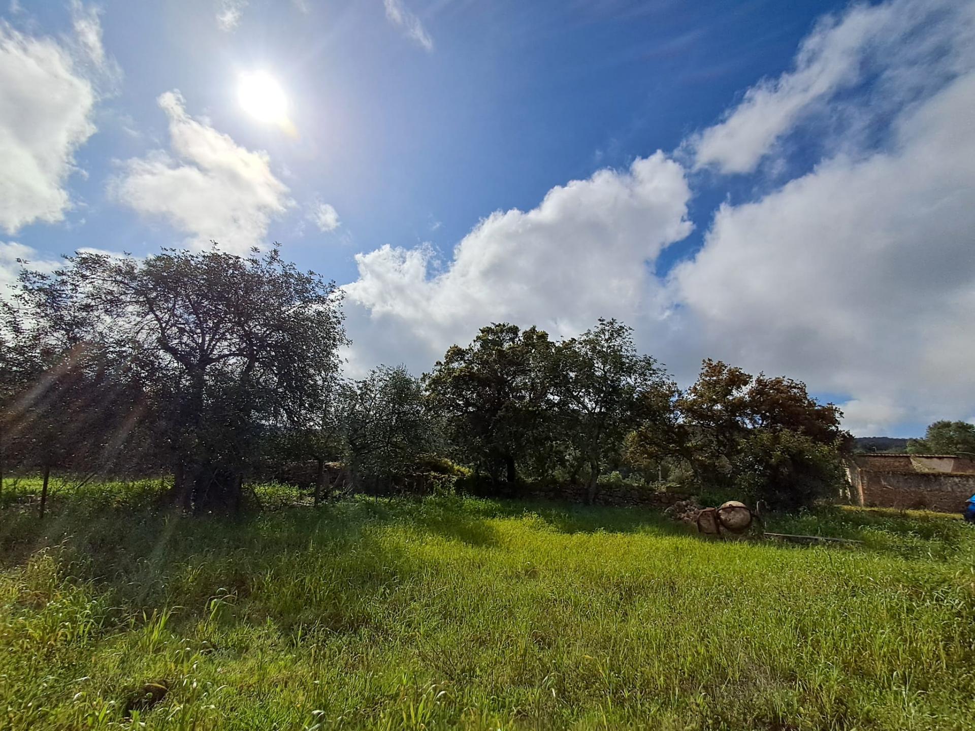 Terreno com Projeto Aprovado - Loulé
| Projeto para Moradia Térrea T3+1