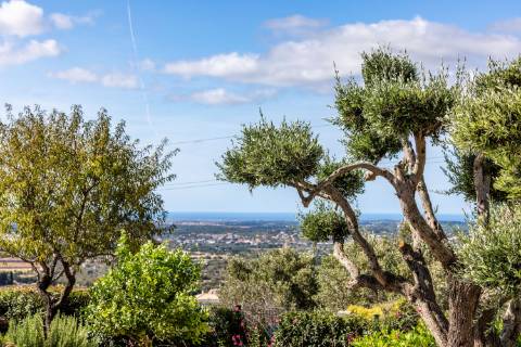 Villa de luxo com 6 quartos Santa Bárbara de Nexe