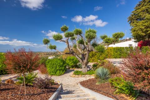 Villa de luxo com 6 quartos Santa Bárbara de Nexe