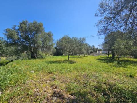 EXCLUSIVO-Terreno urbanizável perto de Salir