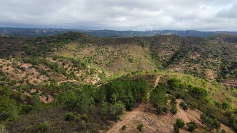 2 terrenos para venda em Javali, 1 com projecto aprovado.