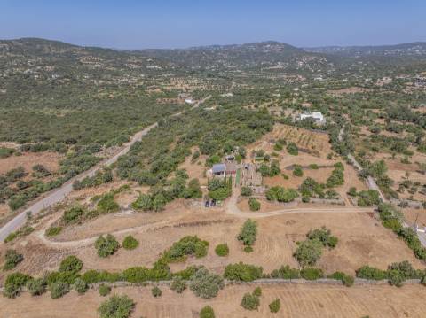 Fantástica quinta com grande potencial, composta por três imóveis urbanos e cerca de 3 hectares de terreno.