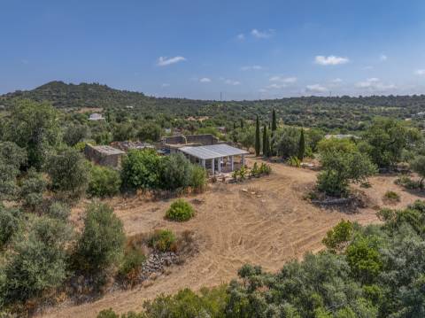 Fantástica quinta com grande potencial, composta por três imóveis urbanos e cerca de 3 hectares de terreno.