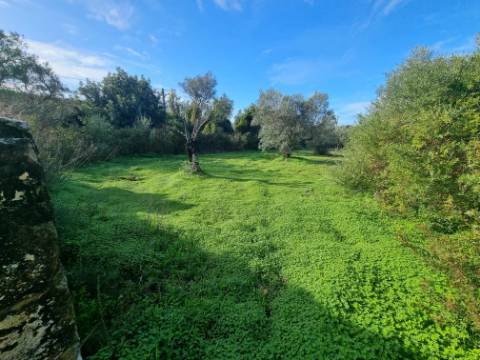 Terreno misto localizado em Poço Novo, a apenas 5 minutos do centro de Loulé, numa zona de grande tranquilidade e fácil acessibilidade.