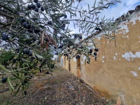VENDIDA PELA ' TA MAISON DE RÊVE'