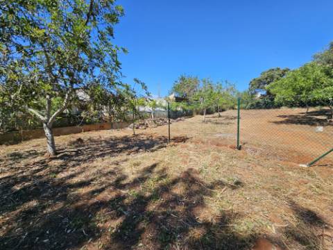 EXCLUSIVIDADE!
 Excelente oportunidade de investimento em Moncarapacho, perto da Fuzeta!